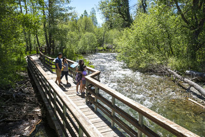 People on footbridge in forest