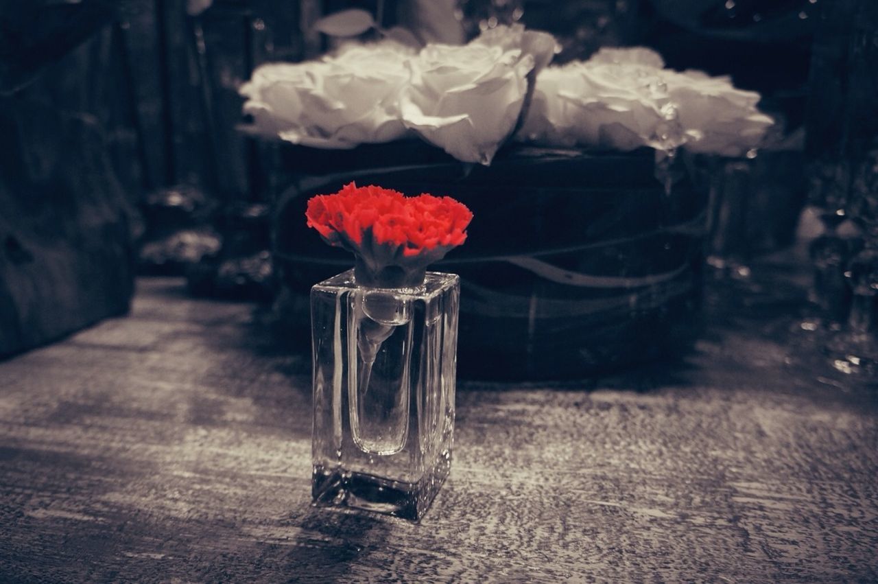 flower, freshness, petal, table, fragility, vase, rose - flower, focus on foreground, flower head, close-up, indoors, red, pink color, glass - material, drinking glass, beauty in nature, nature, water, still life, transparent