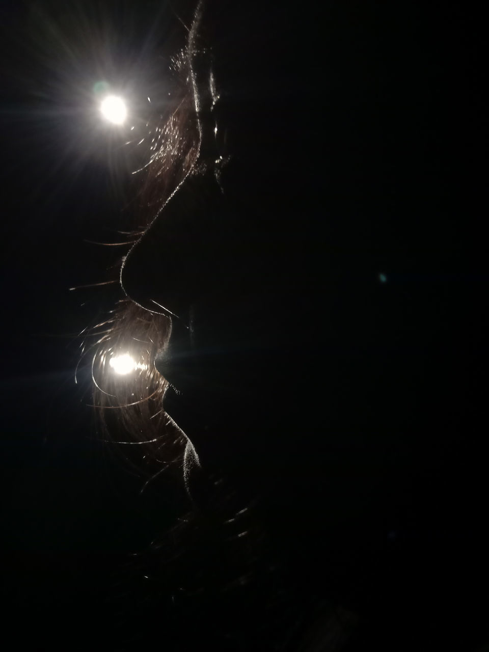 darkness, illuminated, light, night, fireworks, sparkler, no people, copy space, black background, lighting equipment, glowing, macro photography, dark, arts culture and entertainment, celebration, motion, studio shot, light - natural phenomenon, close-up, nature