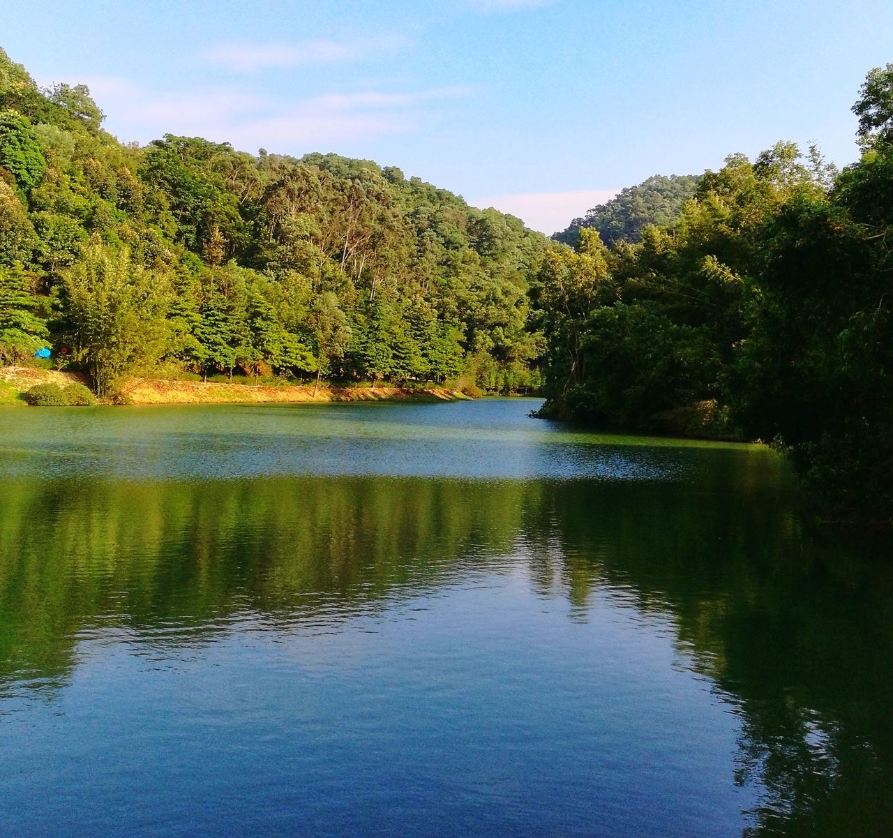 tree, water, reflection, lake, tranquil scene, nature, tranquility, scenics, beauty in nature, outdoors, no people, sky, day, waterfront, growth, forest, landscape, mountain, grass