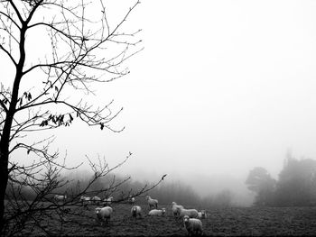 View in monochrome against sky