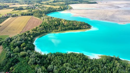 High angle view of trees by sea