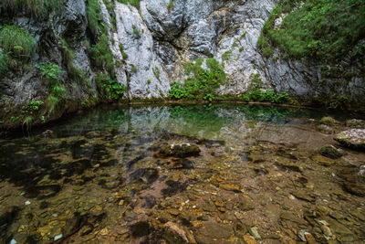 Rock formation in water