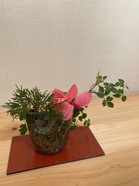 Close-up of potted plant on table against wall