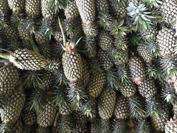 Full frame shot of pineapples in thaimarket.