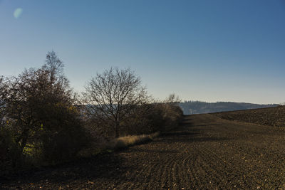 Trees on field against clear sky