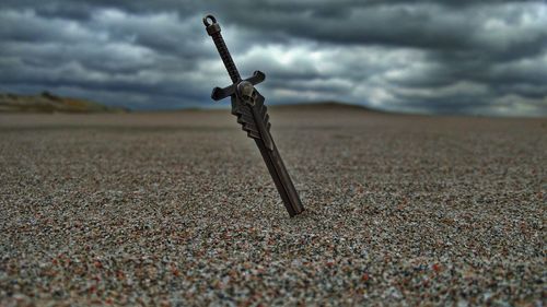 Close-up of lizard on sand against sky