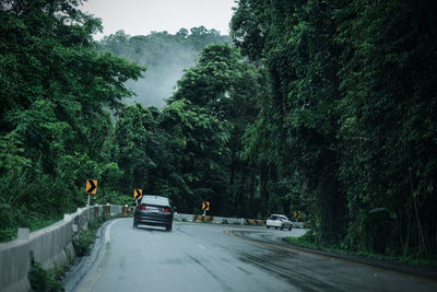 People walking on road