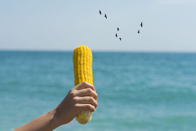 Close-up of hand holding bird flying over sea against sky