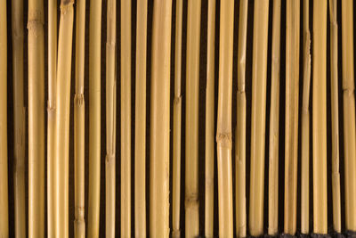 Full frame shot of bamboo on wall