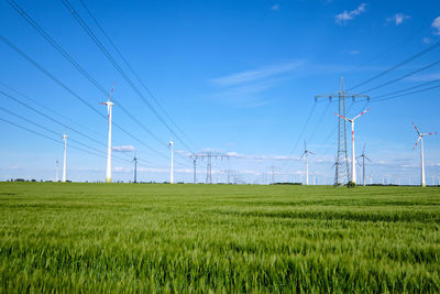 Scenic view of agricultural field against blue sky