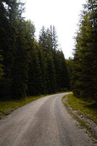 Road amidst trees in forest against sky