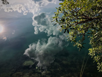 Low angle view of tree against sky