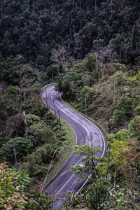 High angle view of road amidst trees 2