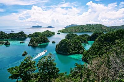 High angle view of trees by sea against sky