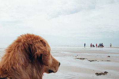 View of people on beach