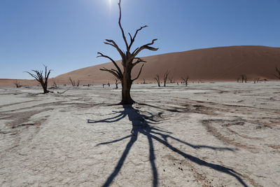 Scenic view of desert against clear sky