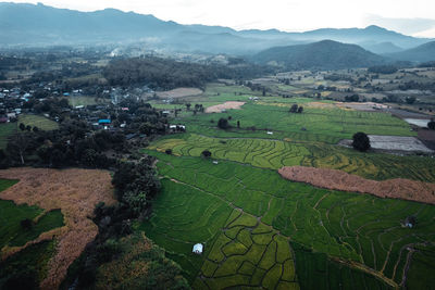 High angle view of agricultural field