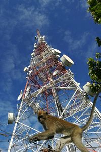 Low angle view of ferris wheel against sky