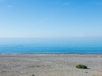 sea