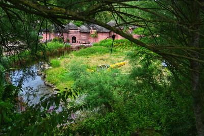 Scenic view of river amidst trees and buildings