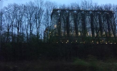 Bare trees against sky at night