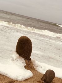 Close-up of crab on sand at beach against sky