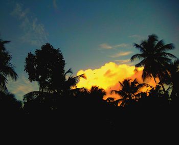 Low angle view of silhouette trees against sky during sunset