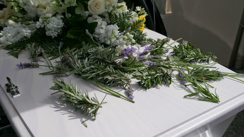 High angle view of purple flowering plants on table