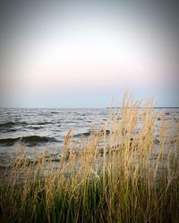 Scenic view of sea against clear sky during sunset