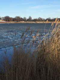 Scenic view of lake against sky