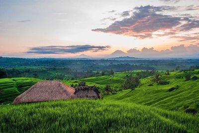 Scenic view of field against cloudy sky