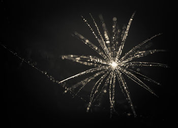 Close-up of firework display against black background