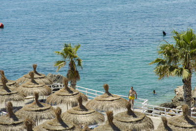 High angle view of trees by sea