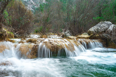 Scenic view of waterfall in forest