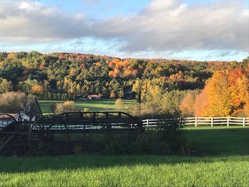 Trees on field against sky during autumn