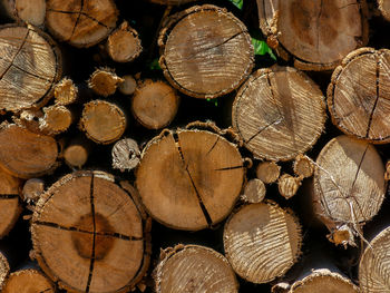 Full frame shot of logs in forest