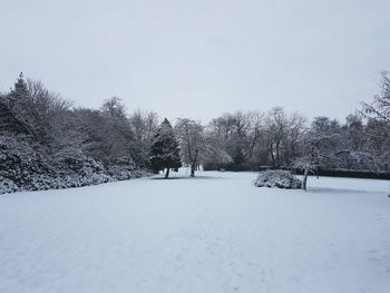 Bare trees on snow covered landscape against sky