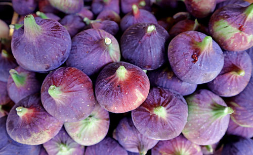 Top view of the pile of deep purple fresh ripe figs with selective focus