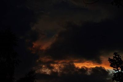 Low angle view of trees against cloudy sky