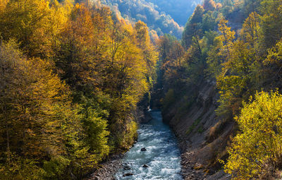 Autumn in the mountains and a mountain river in the gorge. 