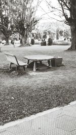 Empty benches in park