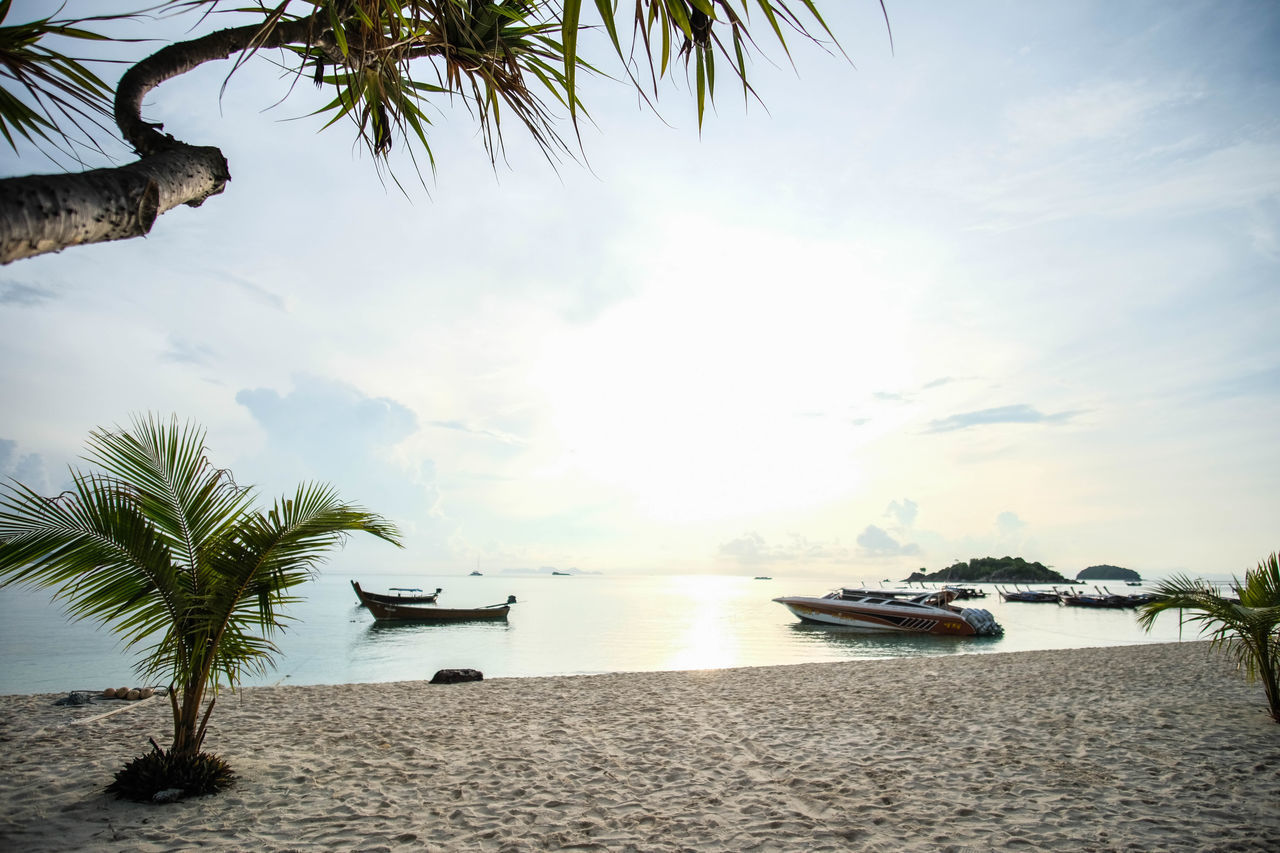 SCENIC VIEW OF BEACH