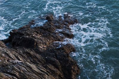 High angle view of rocky shore