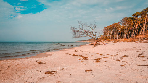 Scenic view of beach against sky