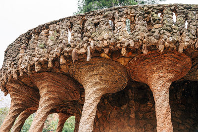 Low angle view of carvings on tree trunk