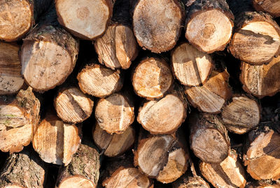 Full frame shot of logs