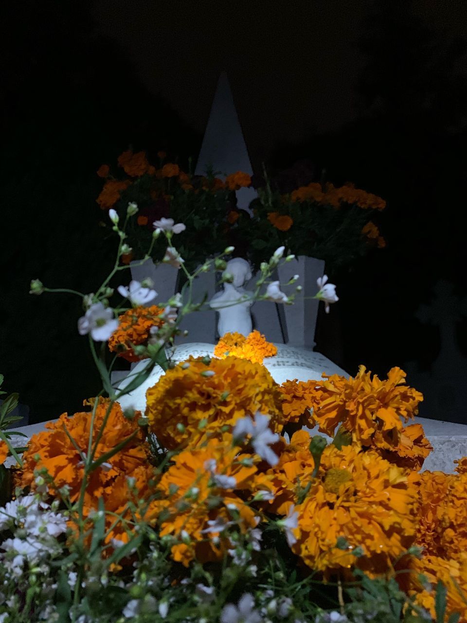 flowering plant, flower, plant, vulnerability, fragility, nature, freshness, growth, no people, beauty in nature, petal, close-up, flower head, belief, inflorescence, white color, outdoors, religion, selective focus, night, flower arrangement, bouquet