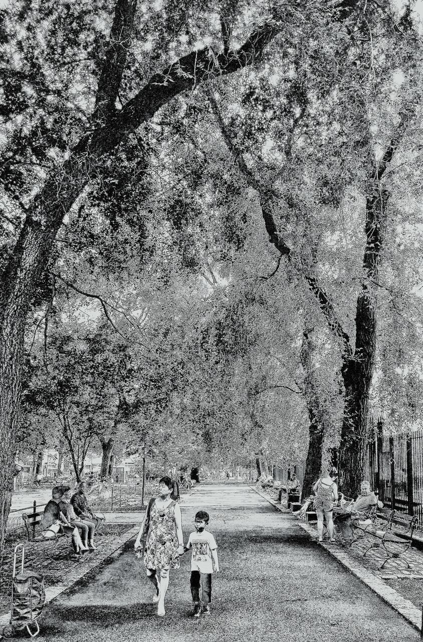 GIRL WALKING ON TREE