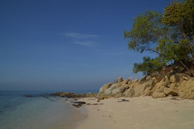 land